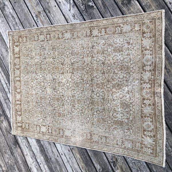 4x5 Neutral Worn Rug 