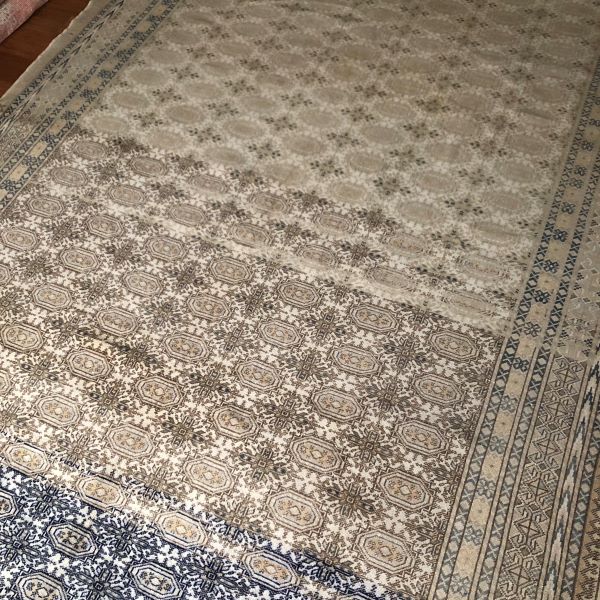 7x10 Faded Sivas Rug