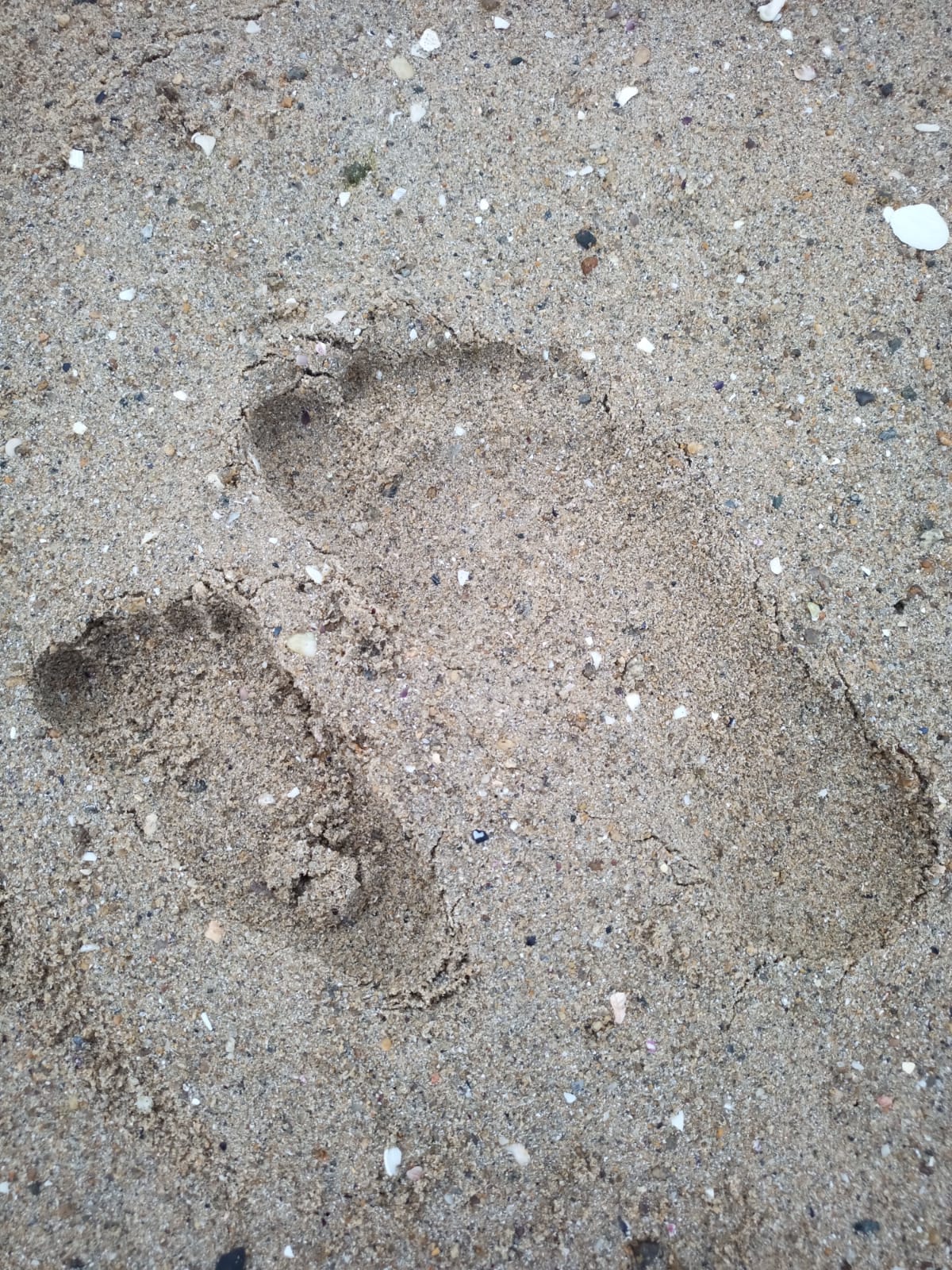 Réflexologie plantaire Pédiatrique 45 min