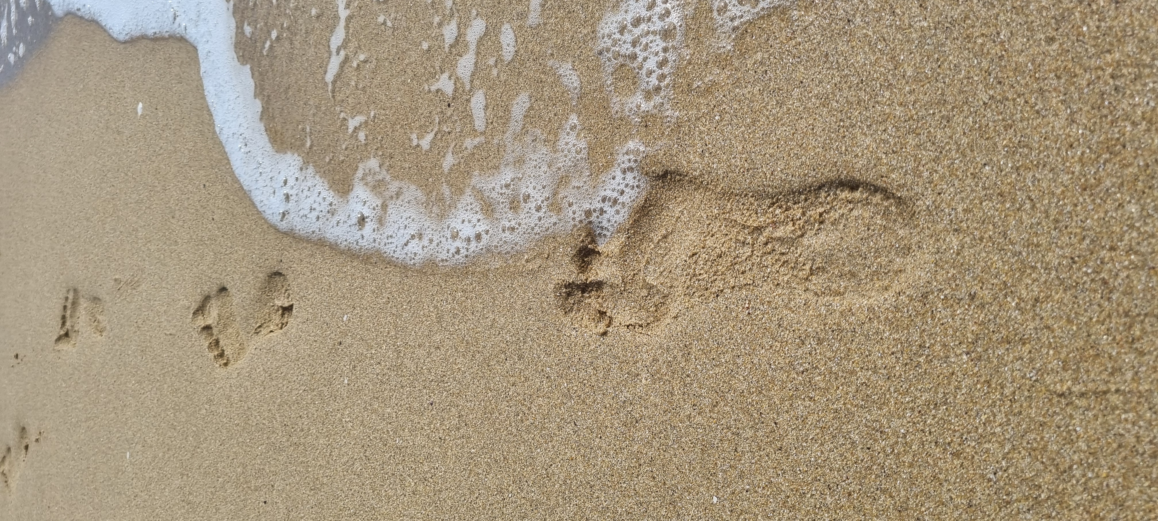 Réflexologie plantaire 1h