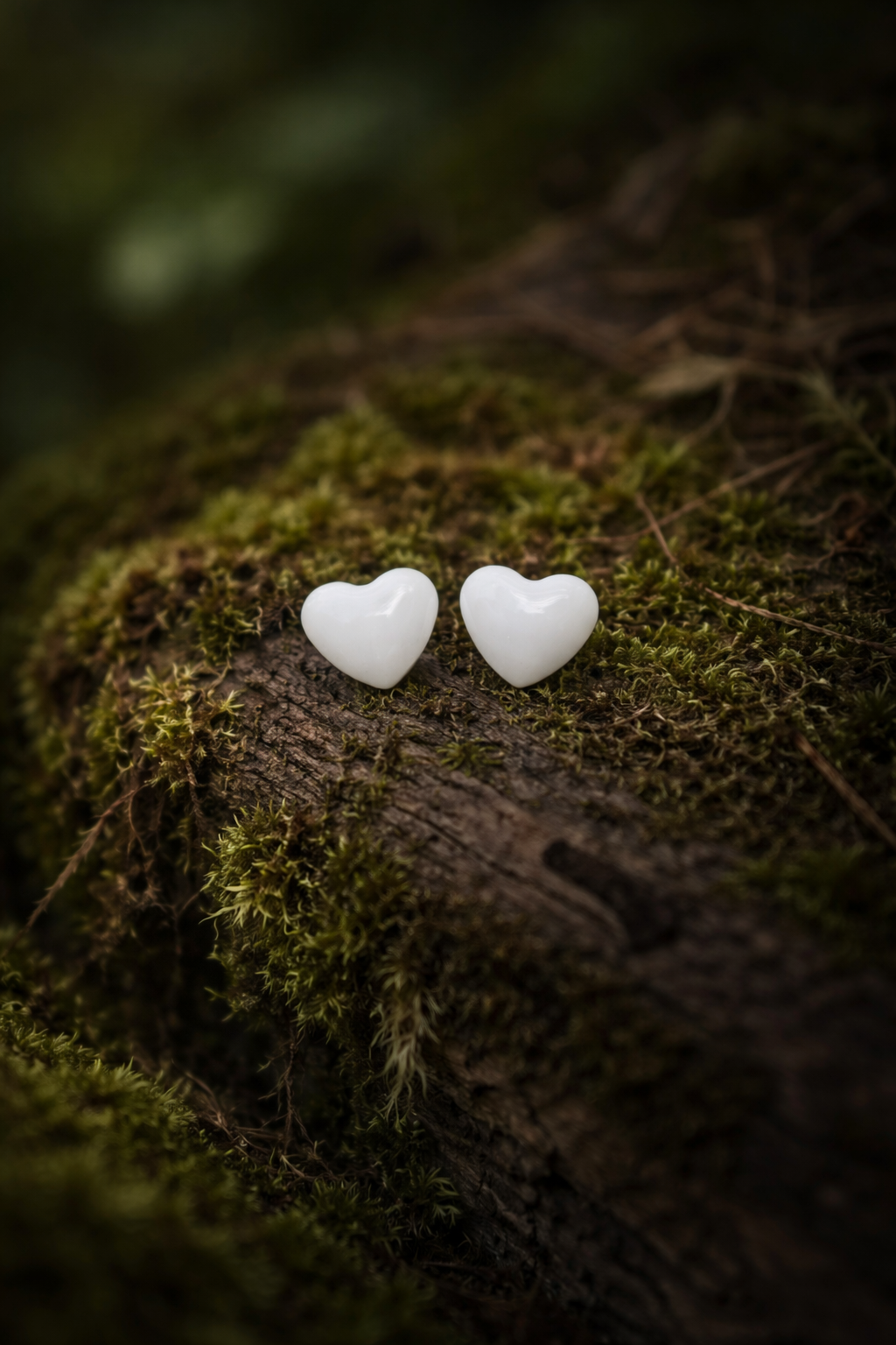 Auskarai Širdelės 10mm