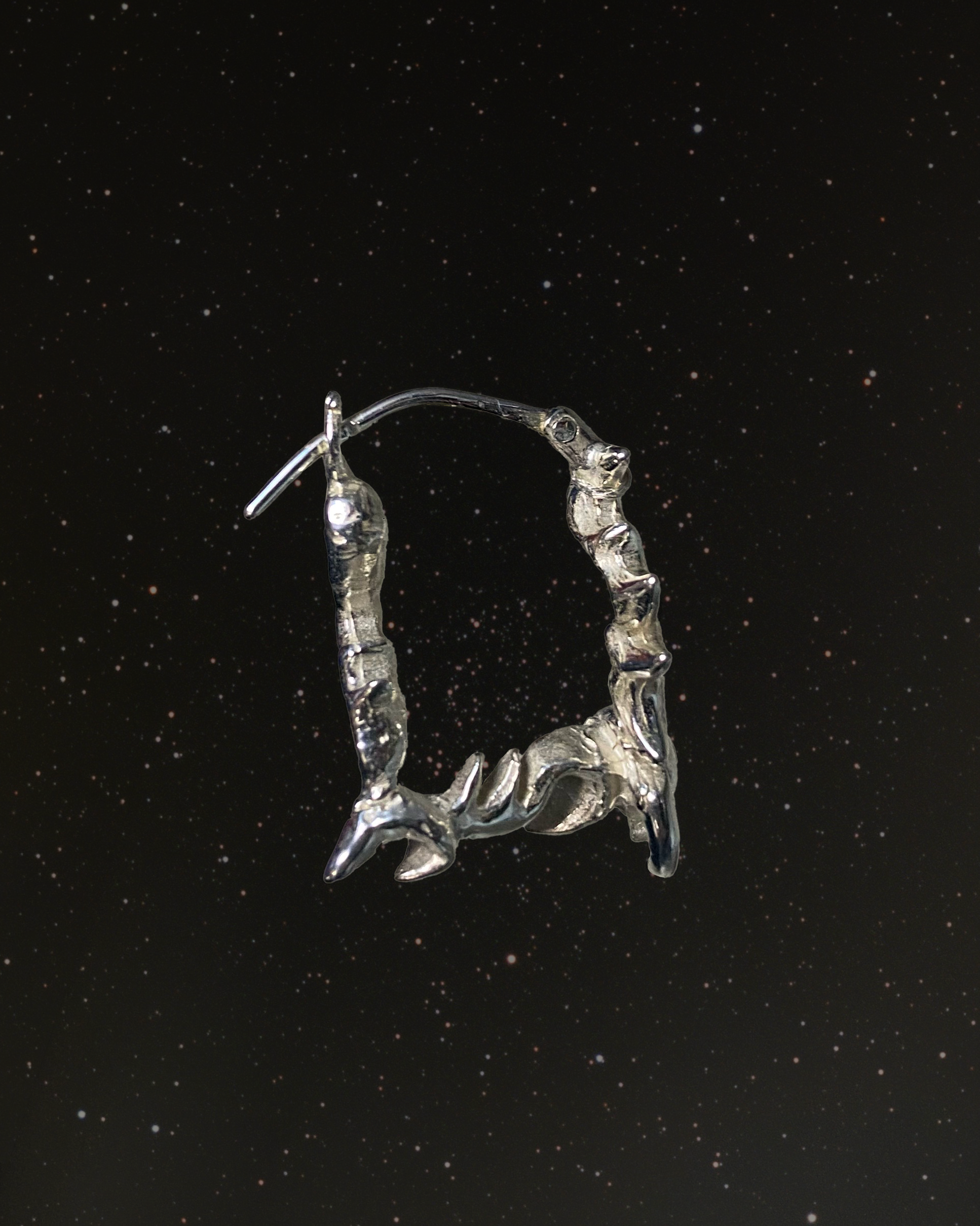 Core 2 hoop earrings