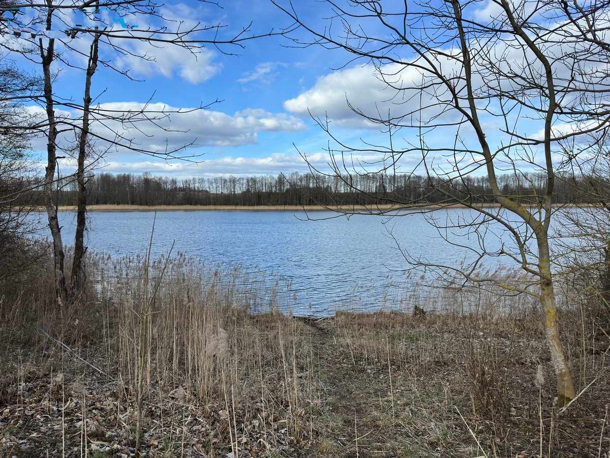 Rokiškio raj., Ragavos k., prie Sartų ež., parduodamas 10.7295 ha ploto sklypas