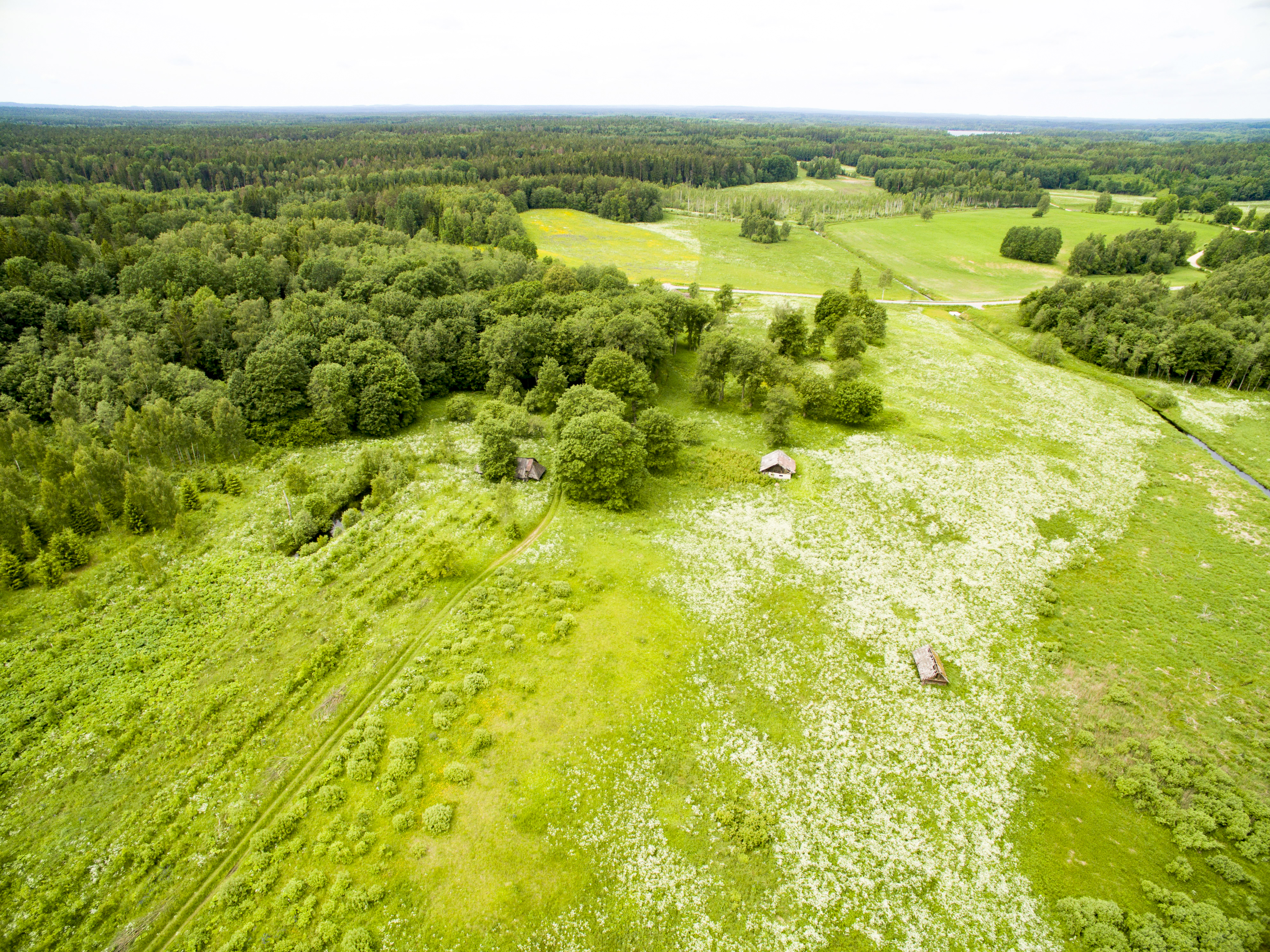 Ignalinos raj., Jurgėnų vs., parduodama sena sodyba su 1,72 ha sklypu