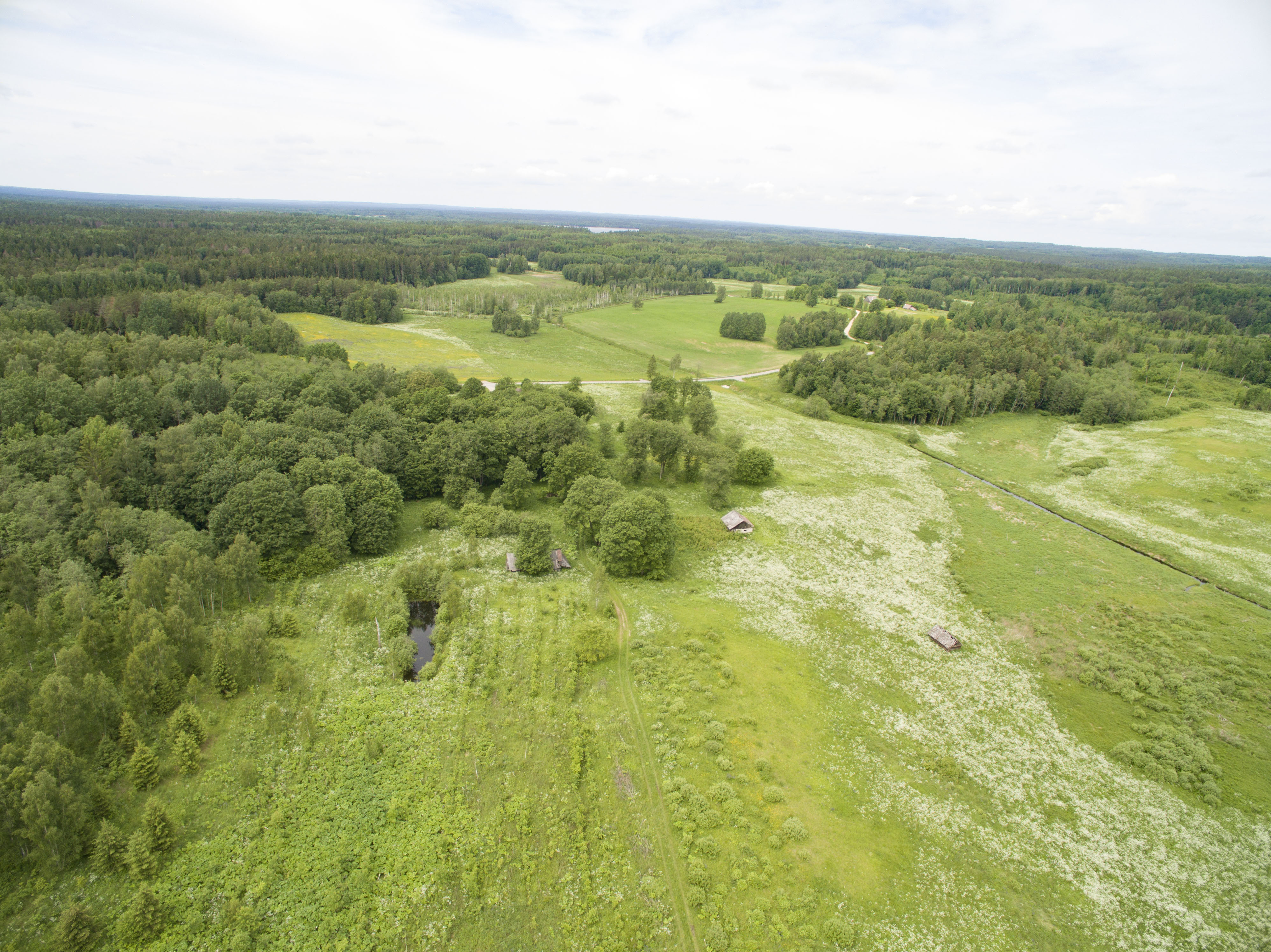Ignalinos raj., Jurgėnų vs., parduodama sena sodyba su 1,72 ha sklypu