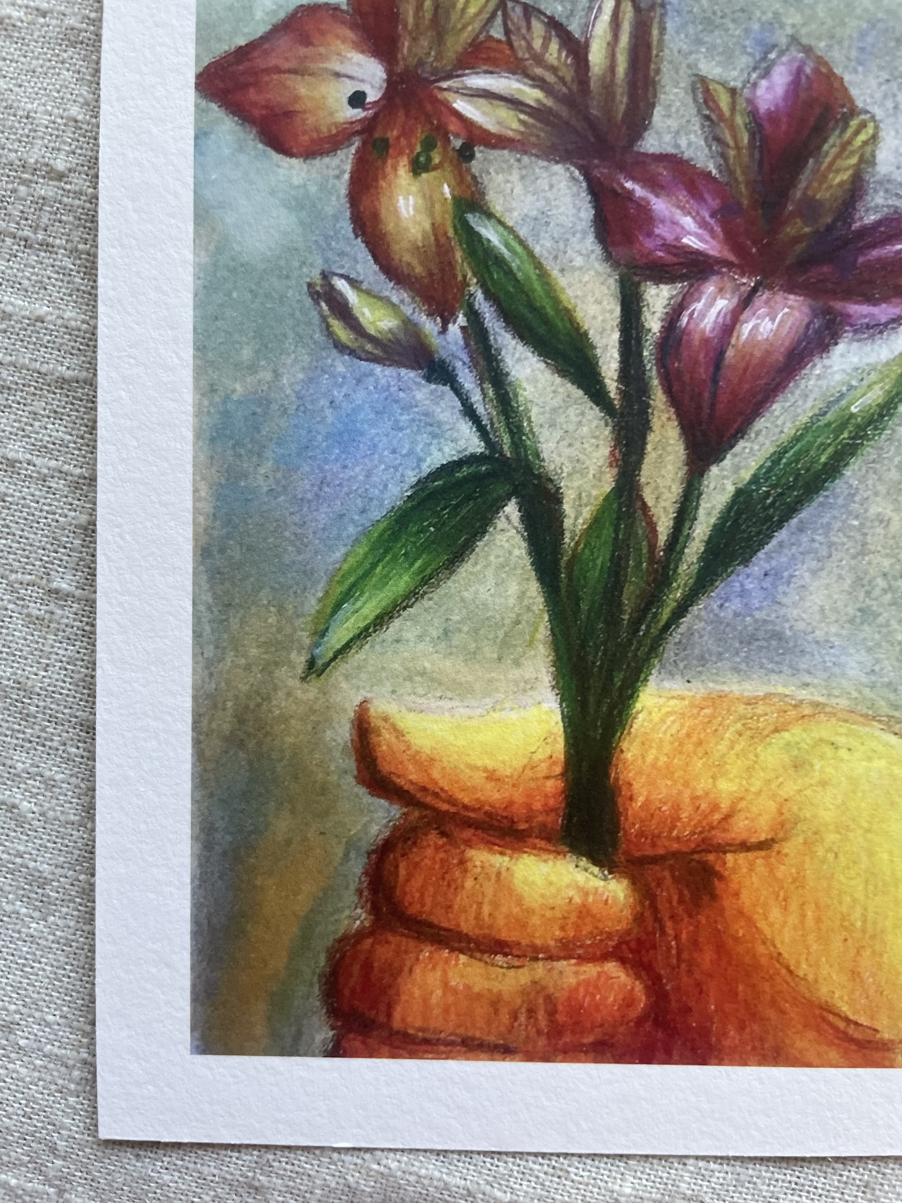 Peruvian Lilies
