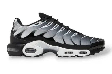 Chaussures de Sport Couleurs Noir et Blanc à Lacets style TN