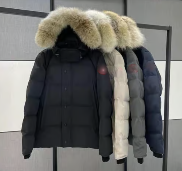 Manteaux d'hiver avec capuche en fourrure style Canada Goosa