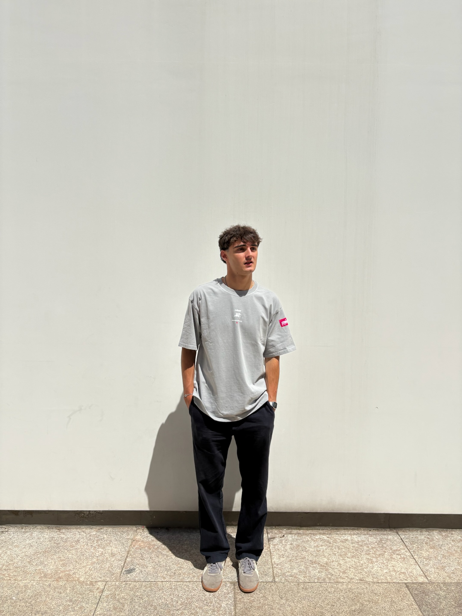 GREY PEGASUS SLEEVE