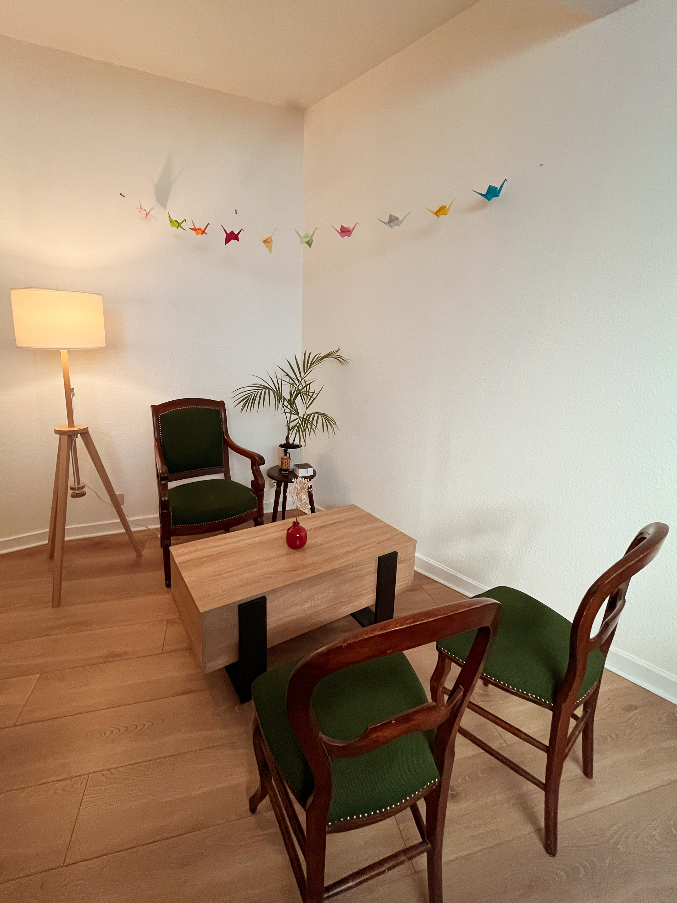 Séance de thérapie SOLIDAIRE - 60 min (45€)