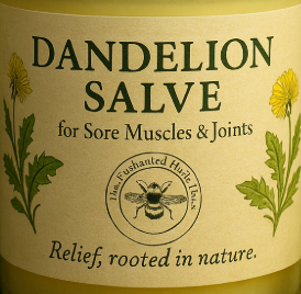 Dandelion Salve
