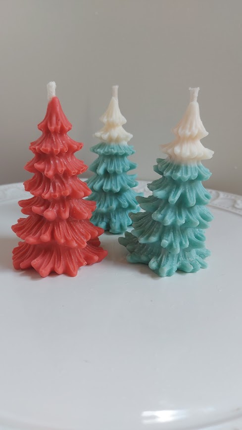 Pinheiro Cipreste de Natal unidade
