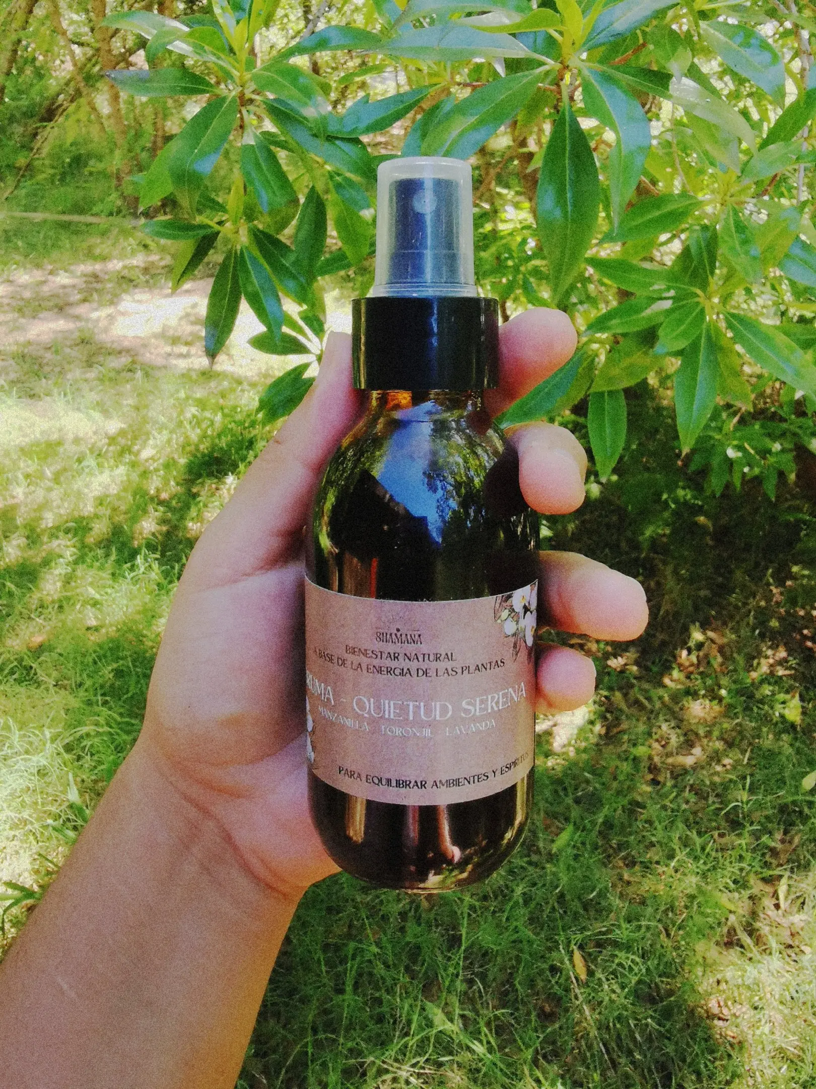 Bruma Quietud Serena