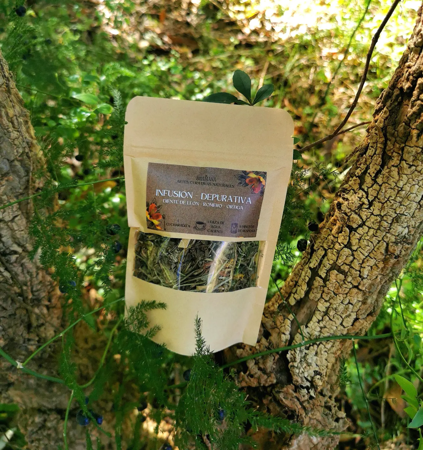 Infusión Depurativa