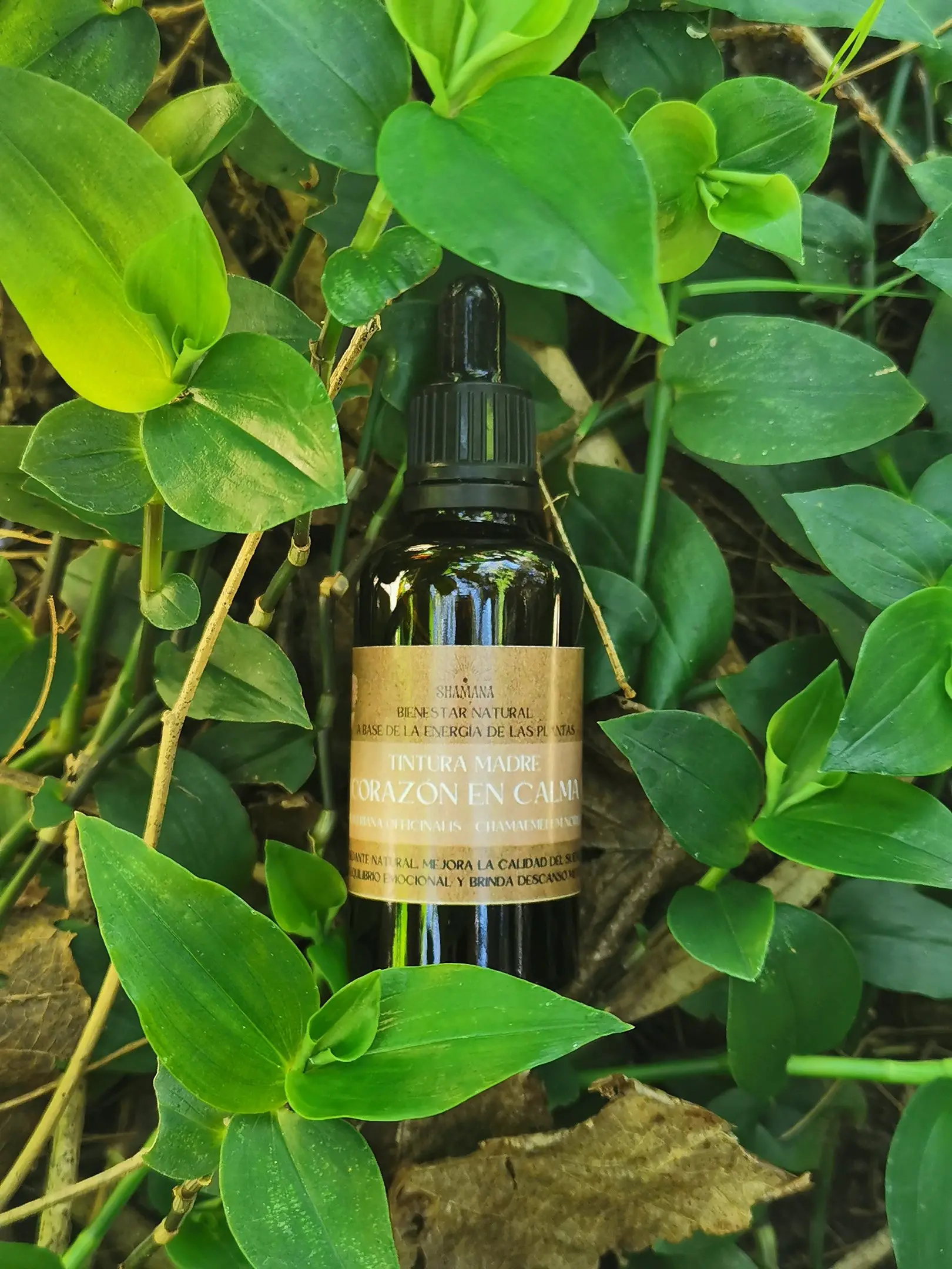 Tintura Madre Corazón en Calma
