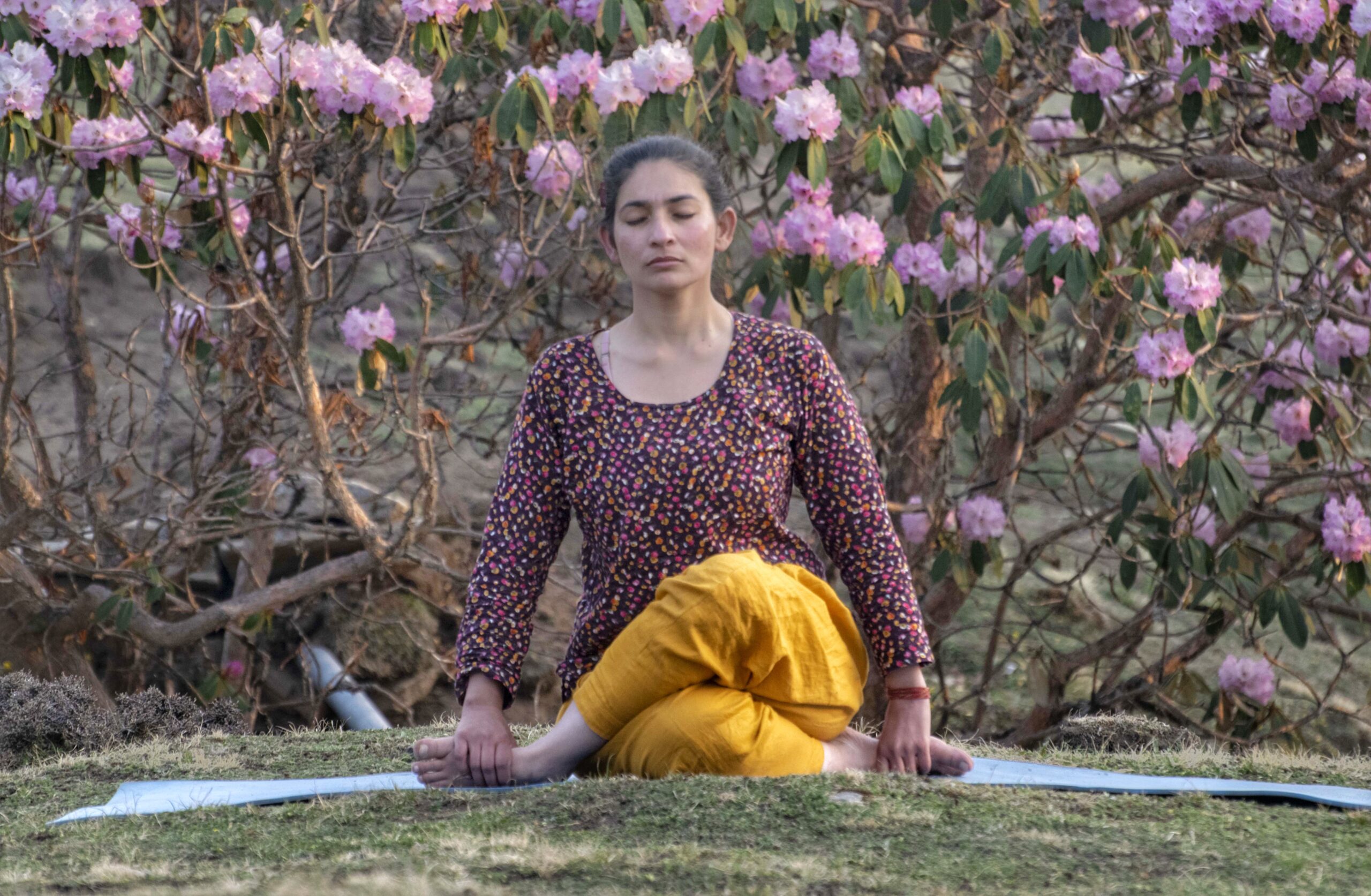 Bespoke Yoga, Breathwork & Meditation Sessions