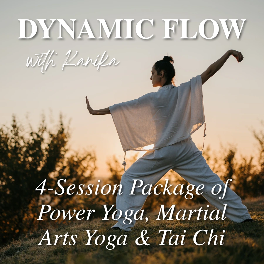 Dynamic Flow: 4-Session Package of Power Yoga, Martial Arts Yoga & Tai Chi