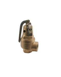1061805 10-600, 2" X 2-1/2", 6,091 MBtu Bronze Hot Water Relief Valve, 30 PSI