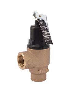 13570-0100 F-82 3/4" 100 PSI Pressure-Only Safety Relief Valve