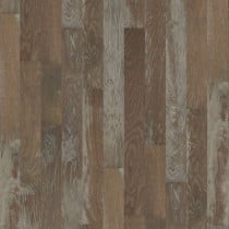 Provincetown- Barnstable