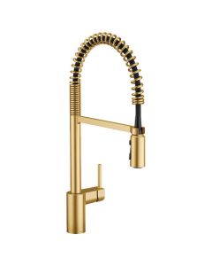 5923BG One-Handle High Arc Pulldown Kitchen Faucet in Brushed Gold