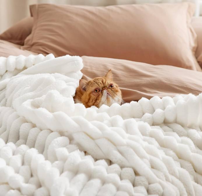 White Throw Blanket for Couch - Super Soft Cozy Blankets for Women, Cute Small Fleece Blanket for Girls, 50x60 Inches