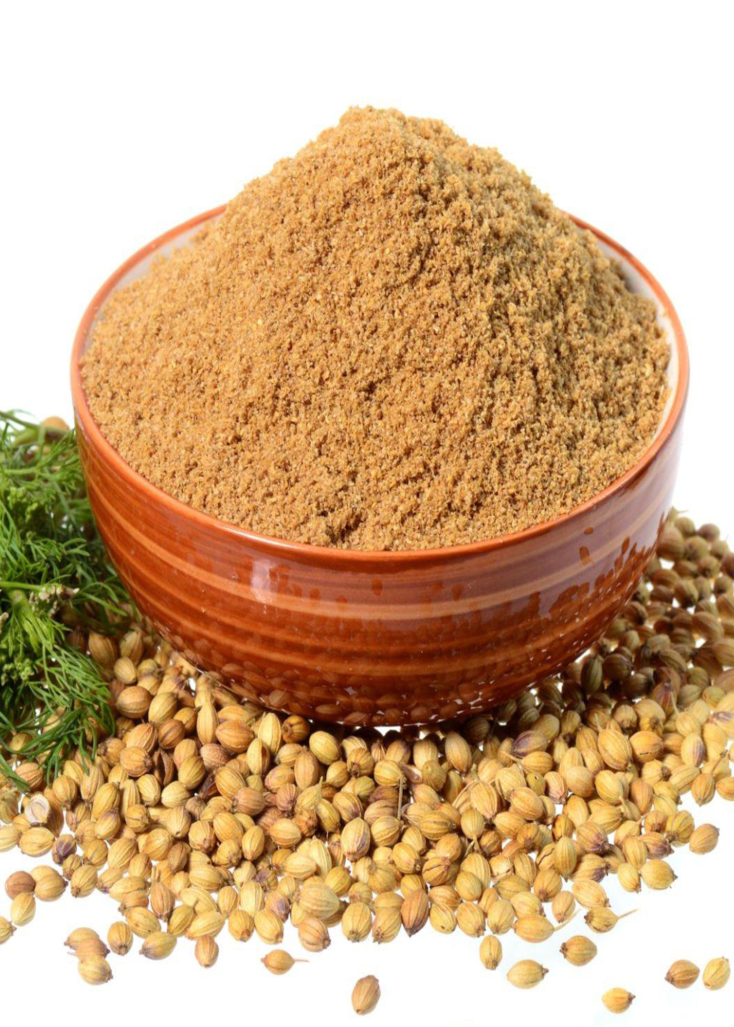  Coriander Powder
