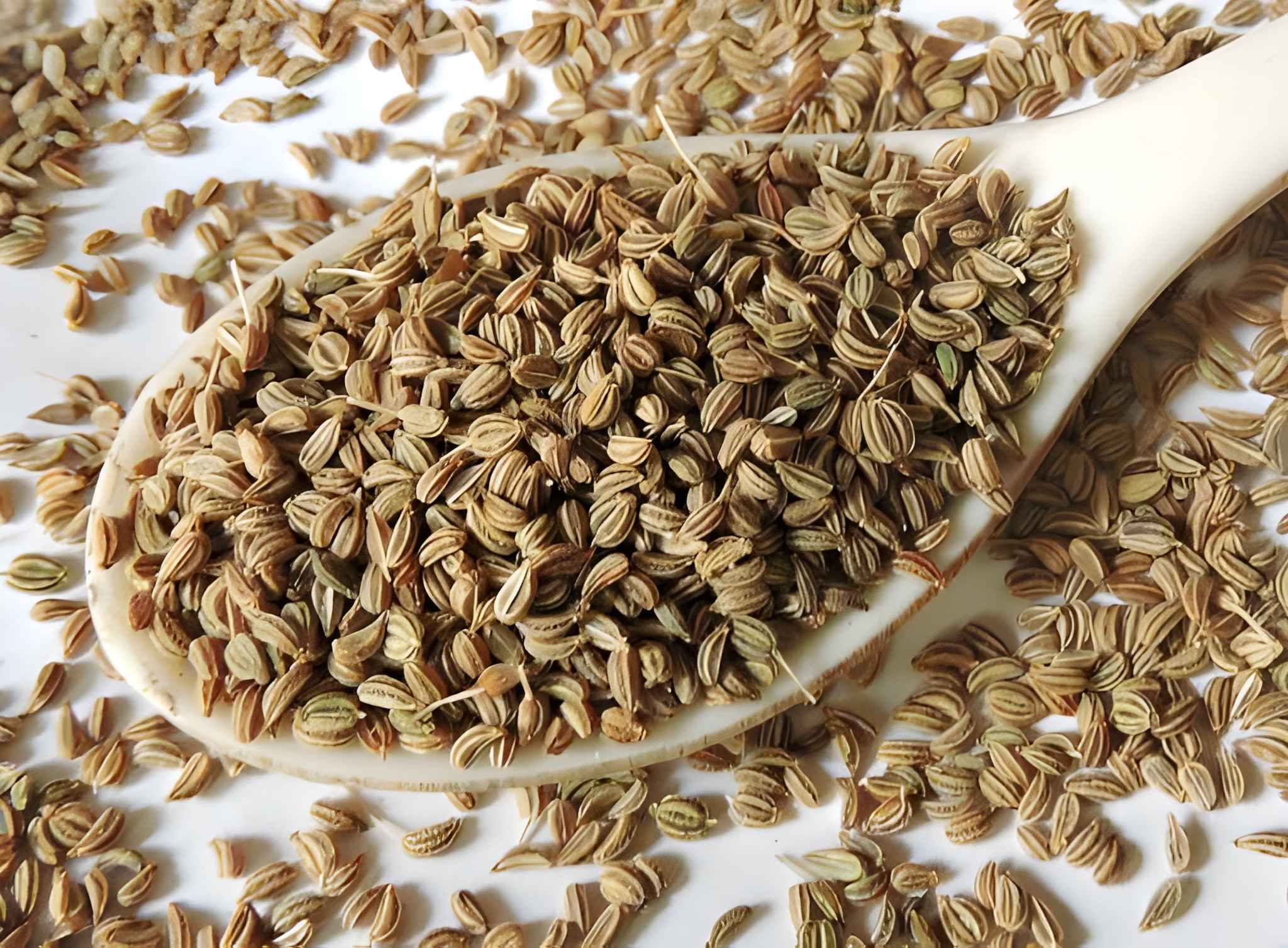 Sajeera / Caraway Seeds