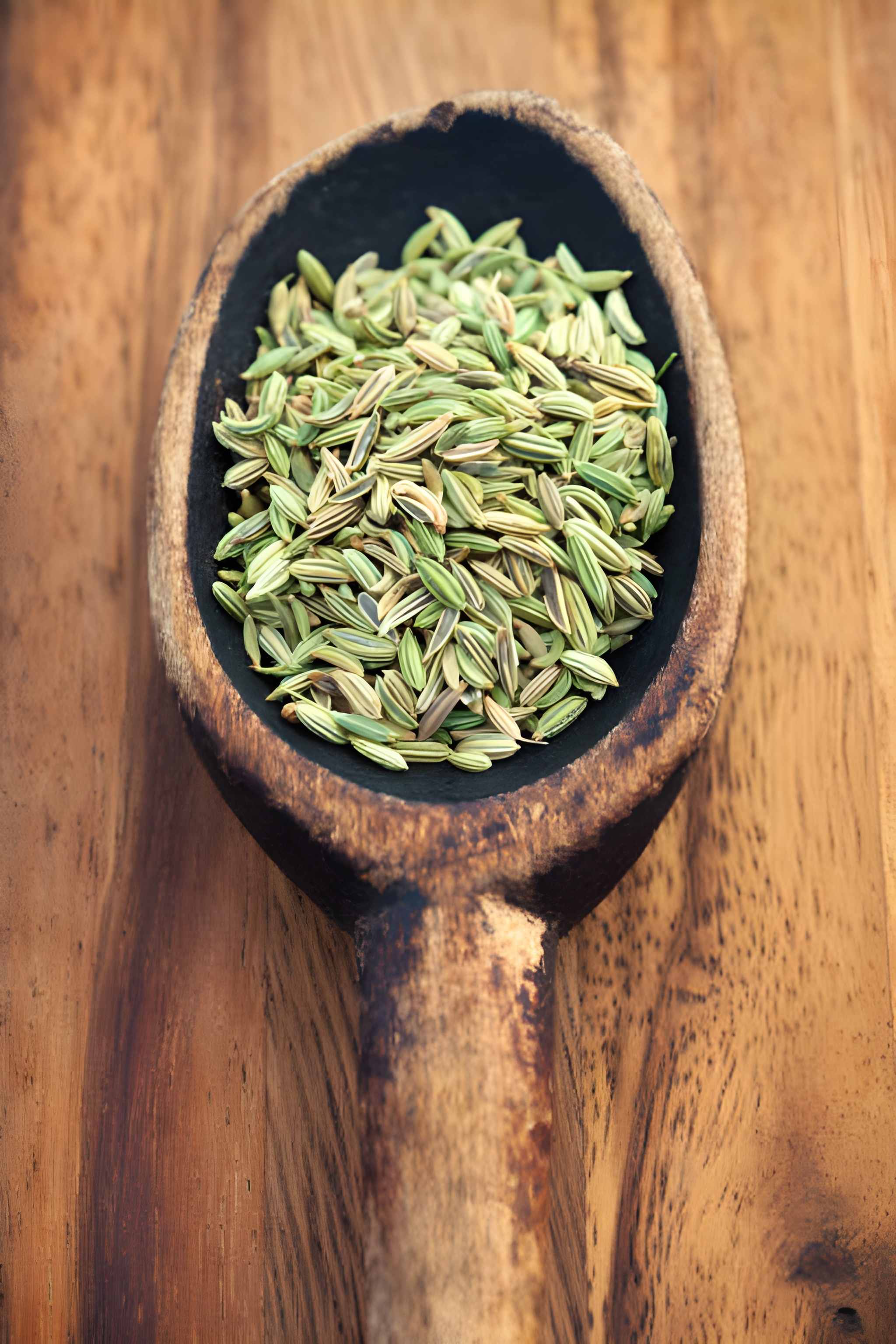 Fennel Seed / Saunf