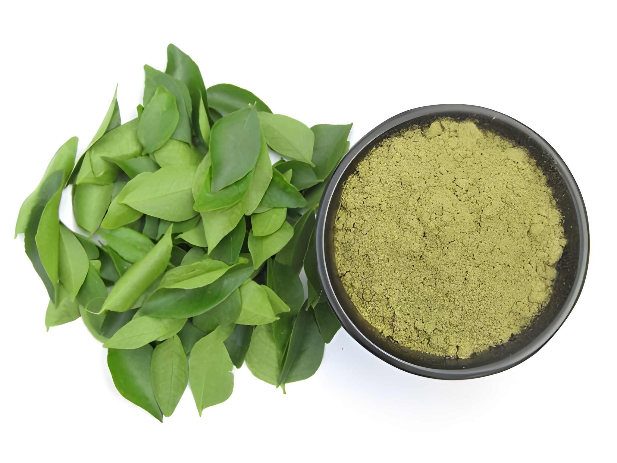 Curry Leaves Powder