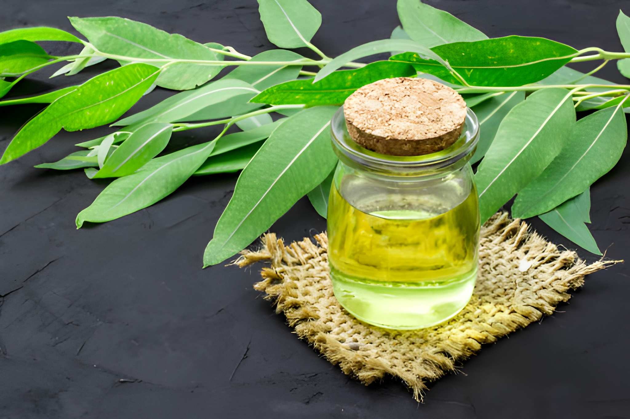 Eucalyptus oil