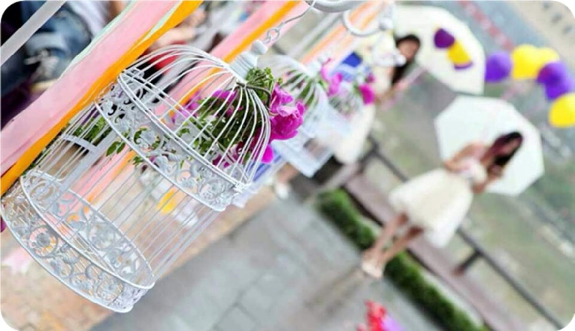 Round Birdcages Wedding Gift Cards Holder Metal Wall Hanging Bird Cage for Small Birds Party Indoor Ourdoor Decoration 10.6“ Black Pack of 1