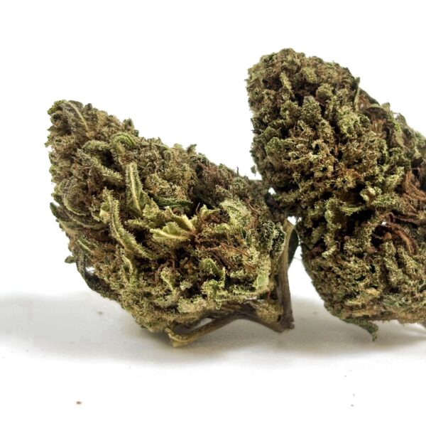 Super Skunk FR Bio
