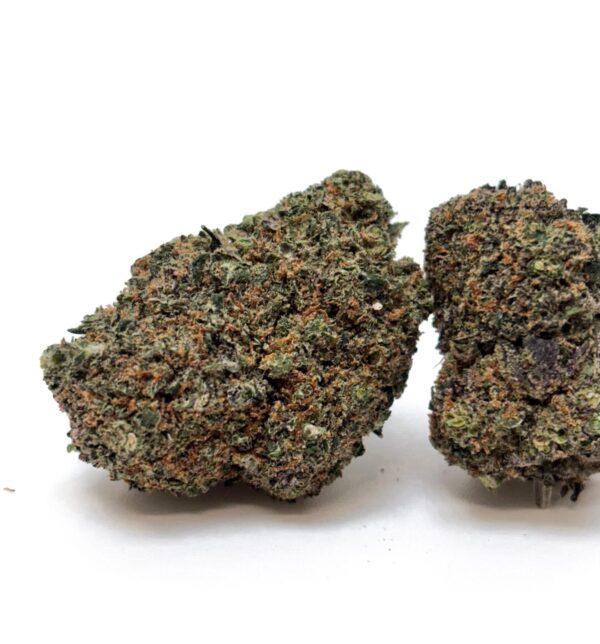 Gorilla Cali