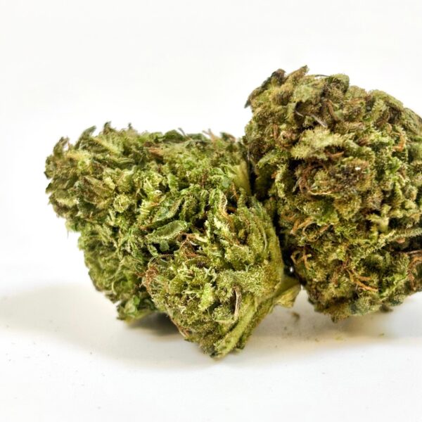 Platinium FR Bio