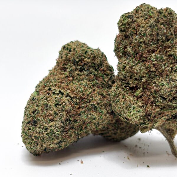Alien Cali