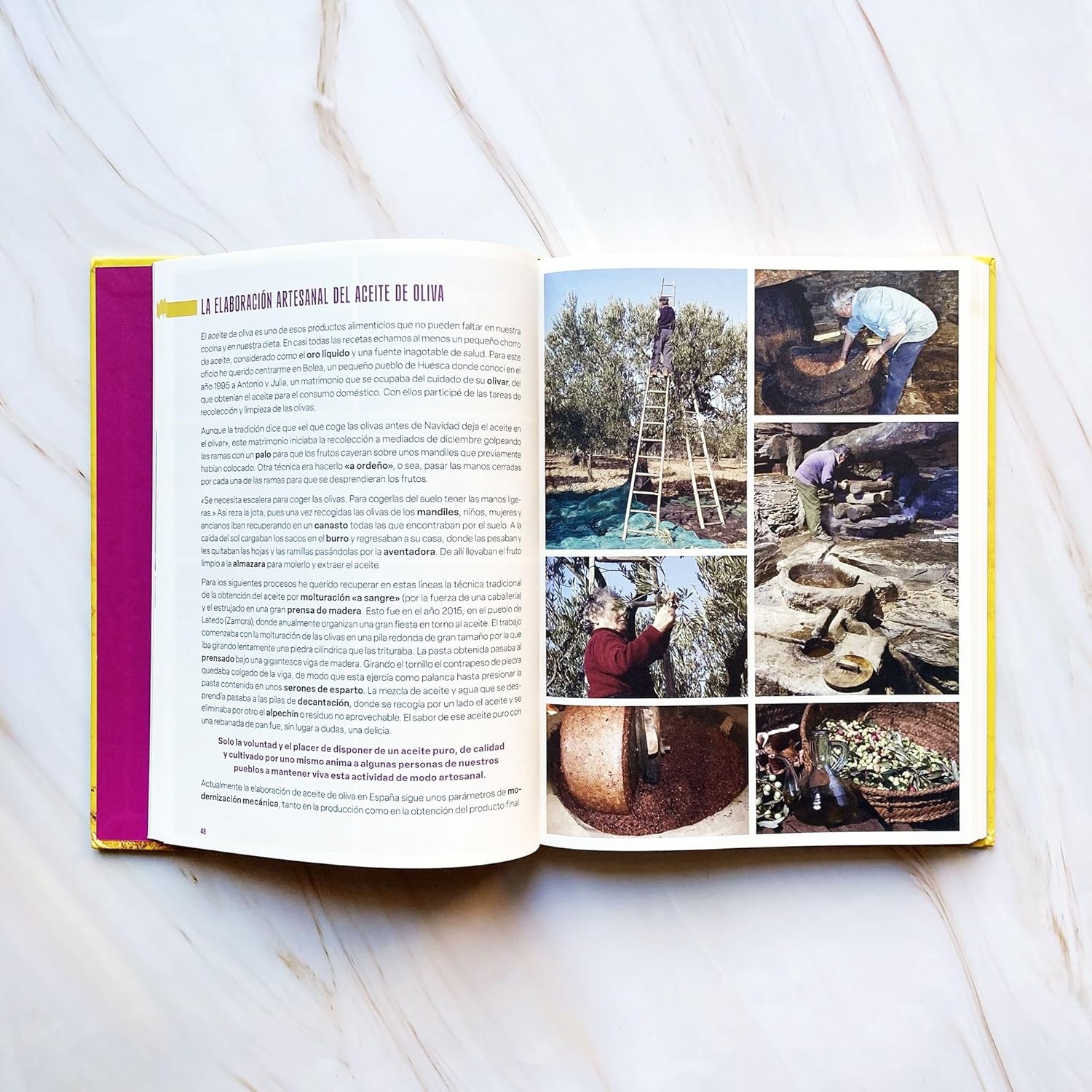 100 oficios para el recuerdo: Un viaje por la España rural en busca de las labores del pasado de EUGENIO MONESMA