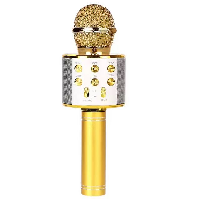 Karaoke mikrofonas
