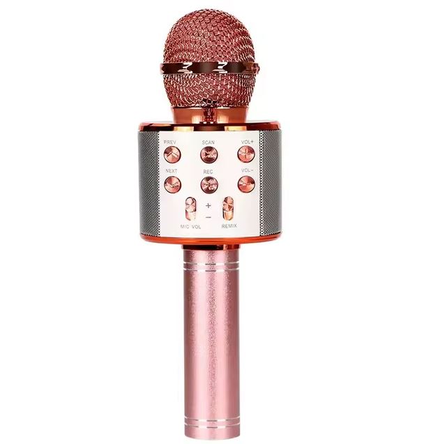 Karaoke mikrofonas