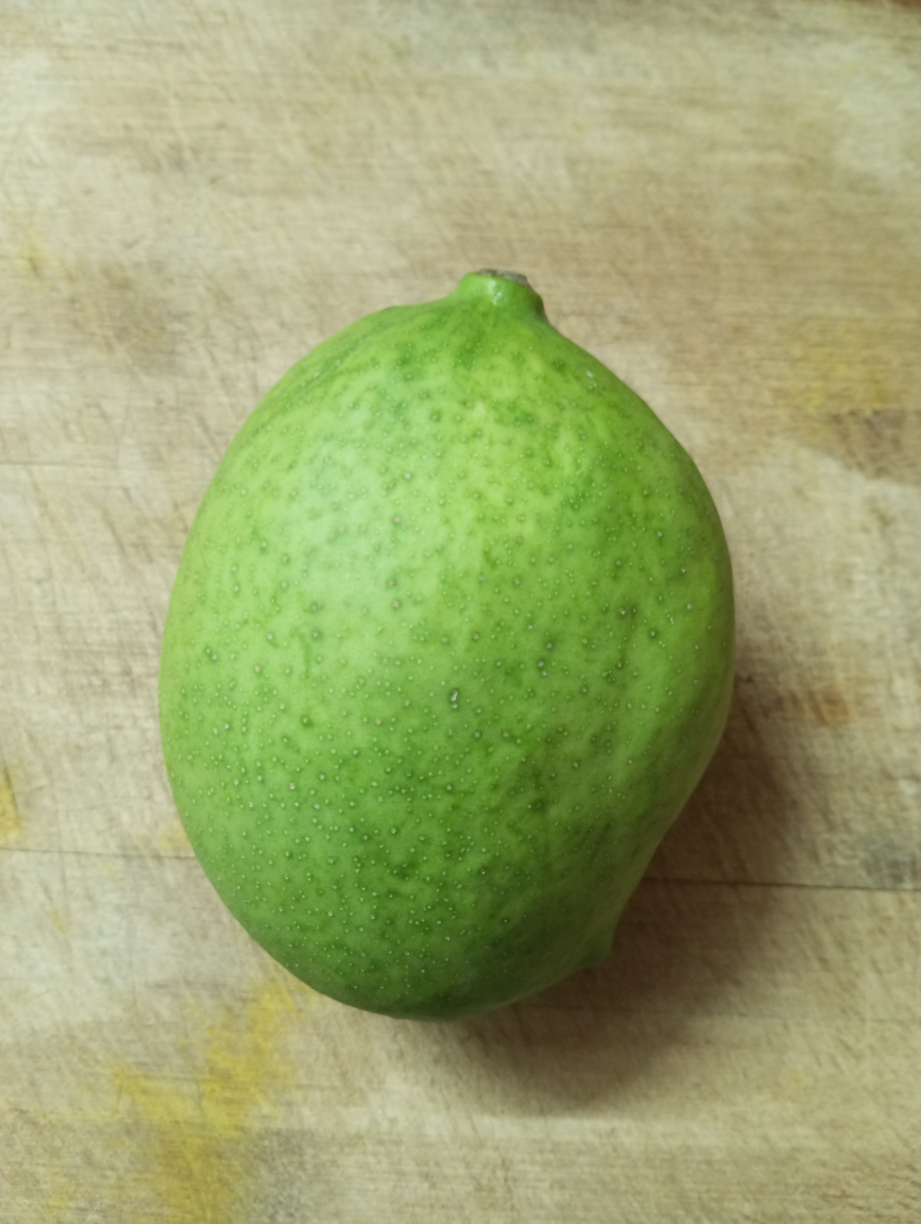 SNF Sendriya's Organic Mangoes by Farmer PNR