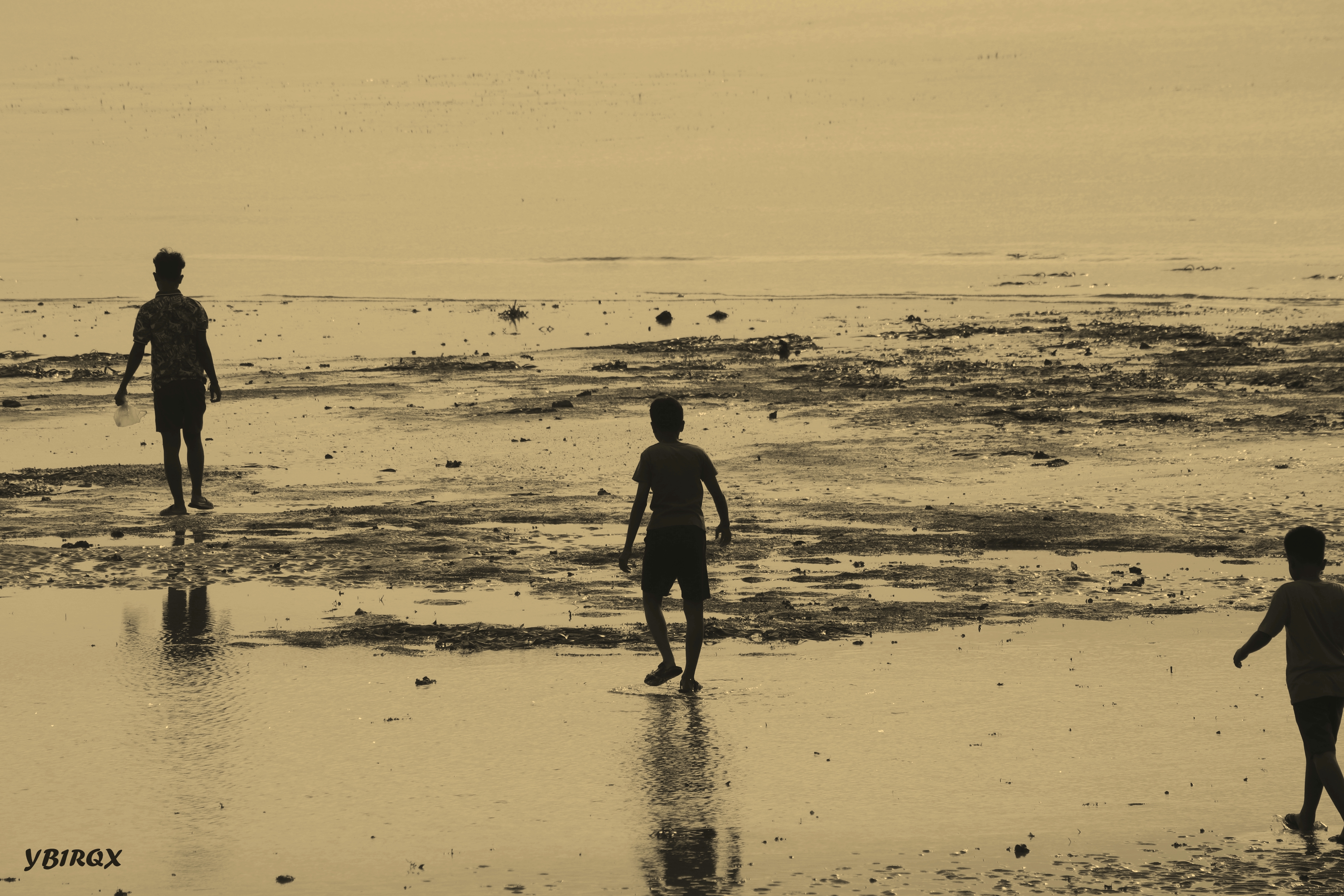 Seaside low tide activities (#1)