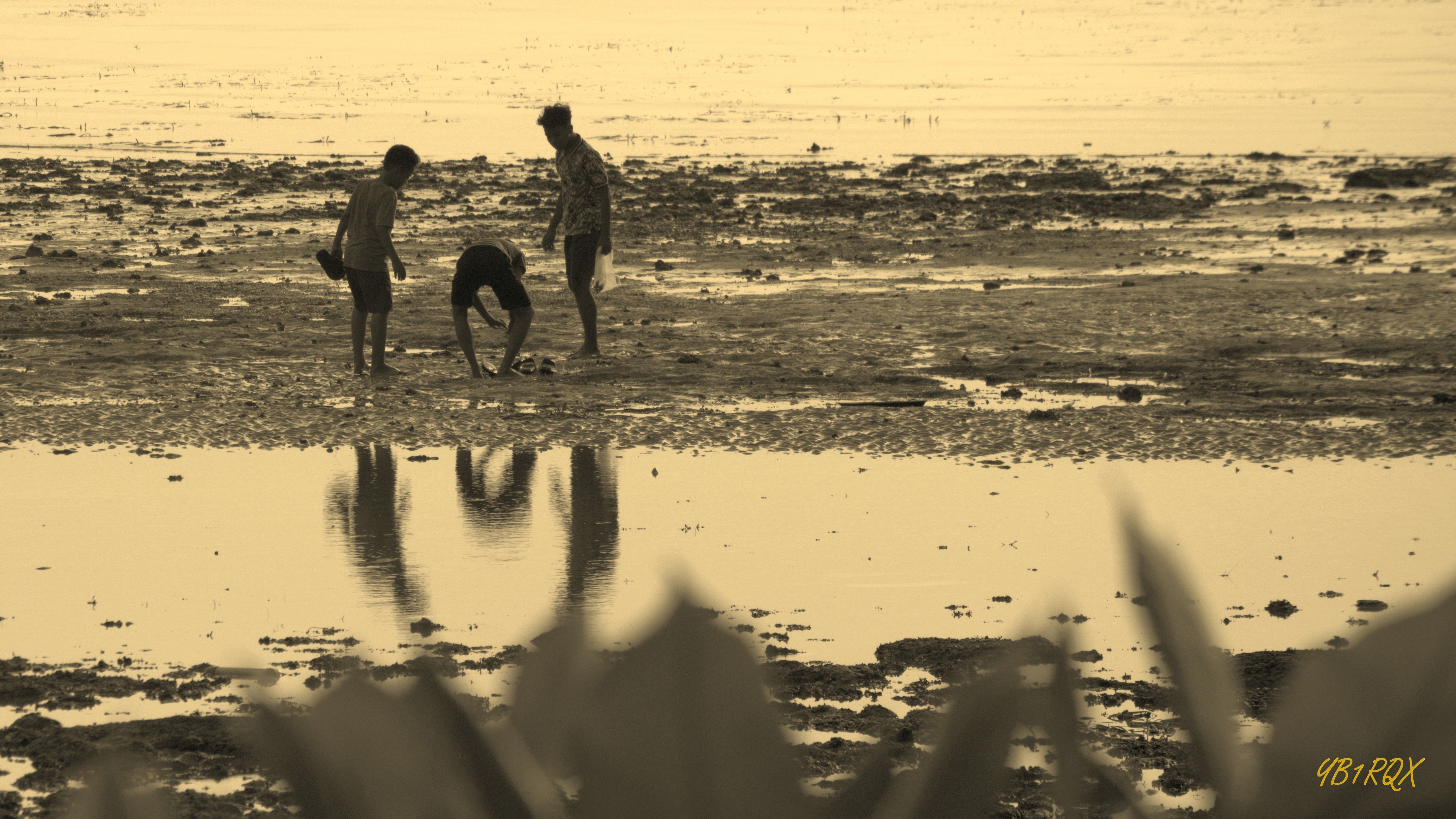 Seaside low tide activities (#2)