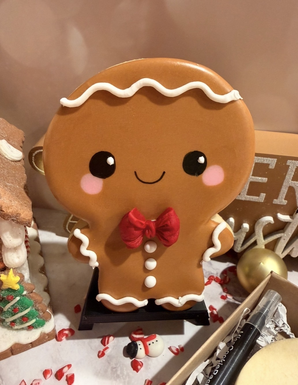 Gingerbread Decorating Cookie Kit
