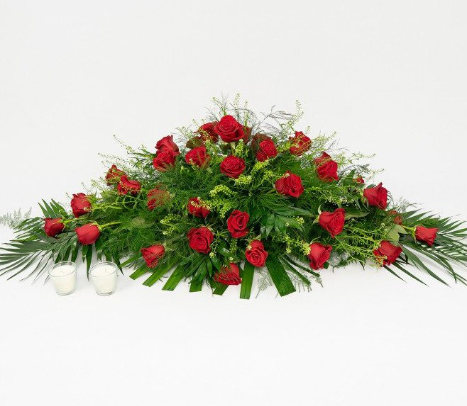 Palma funeraria CCI11