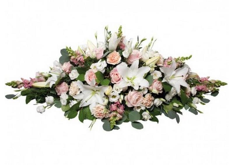 Palma funeraria CCI8