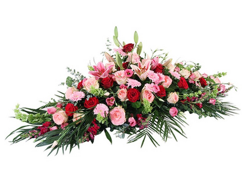 Palma funeraria CCI10