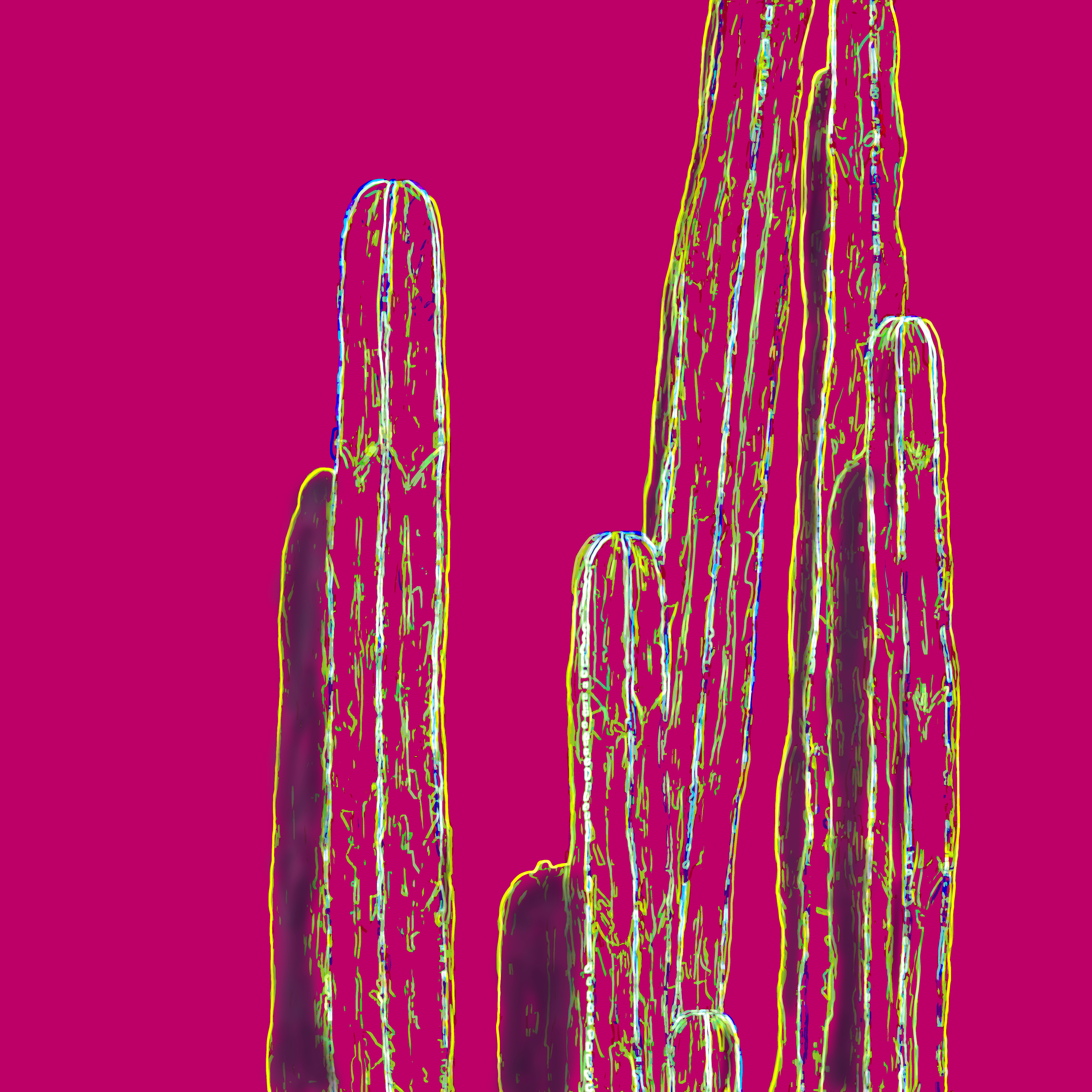 Cactus decorativo