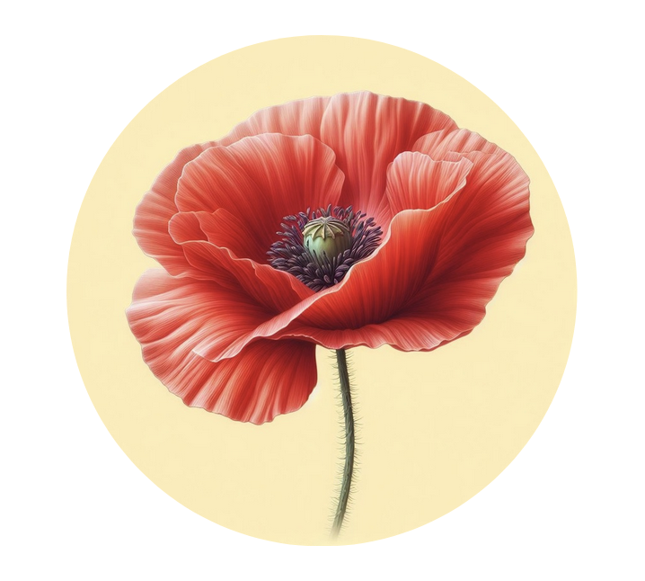 Pendentif Coquelicot