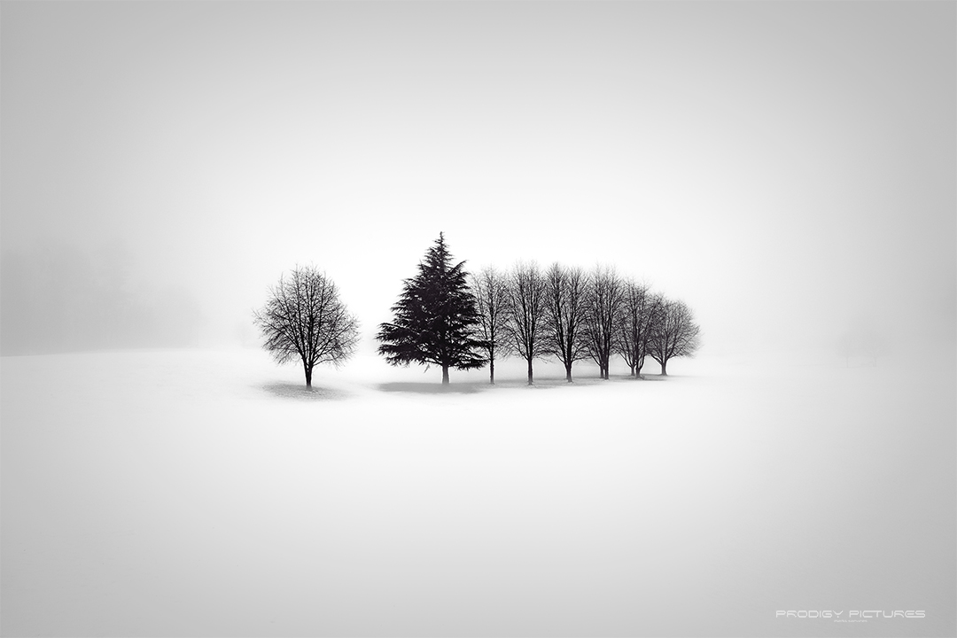 Winter fog