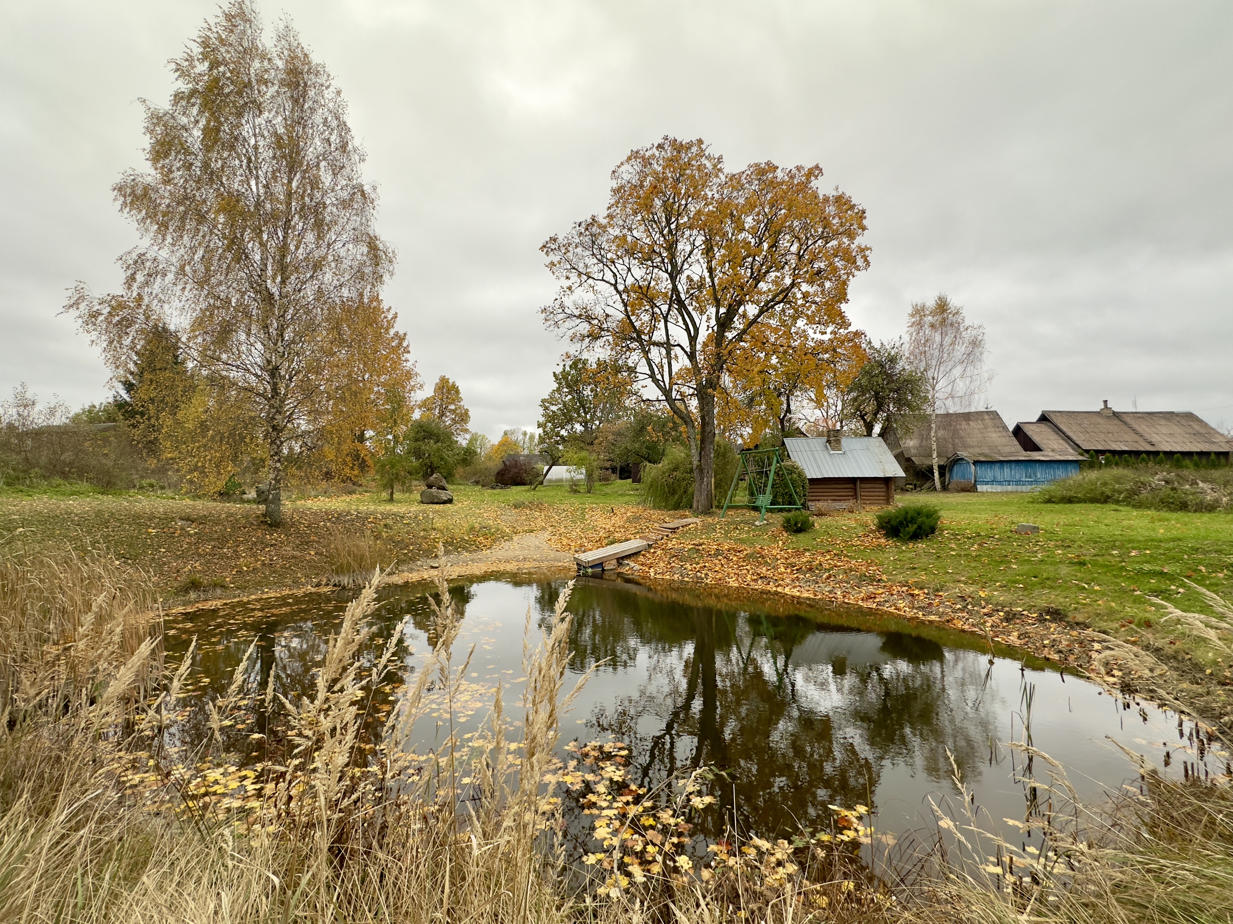 Švenčionių rajone, Matusonių kaime parduodama sodyba su tvenkiniu 